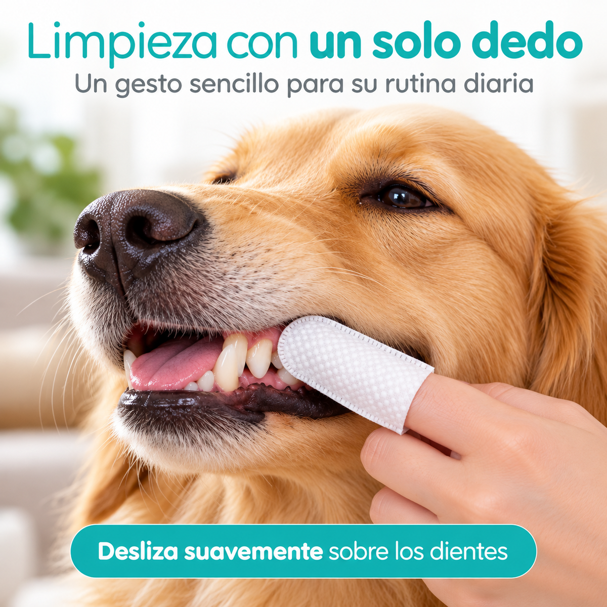 Toallitas dentales para mascotas