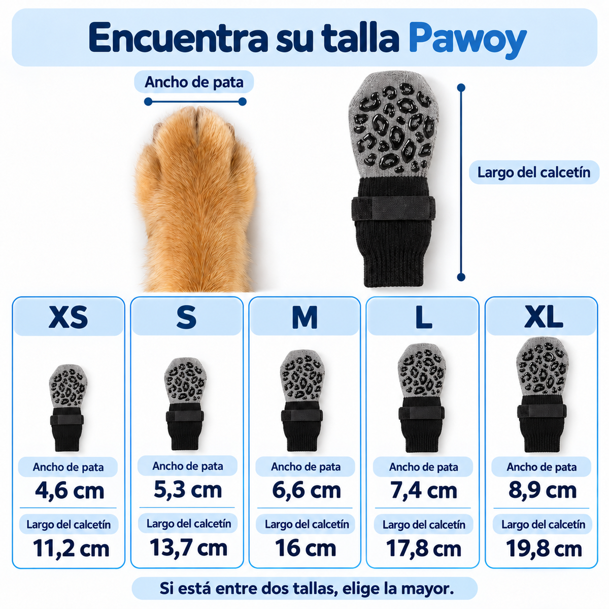 Calcetines de agarre para perros