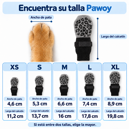 Calcetines de agarre para perros